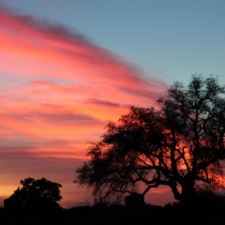 smiley sunset