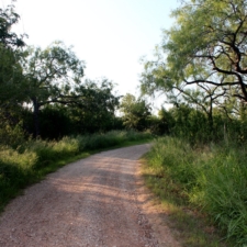 peaceful walks